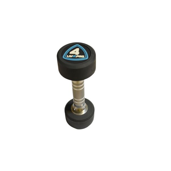 دمبل LIVEPRO مدل LP8075-04 وزن 4 کیلوگرم بسته دو عددی - تصویر 3